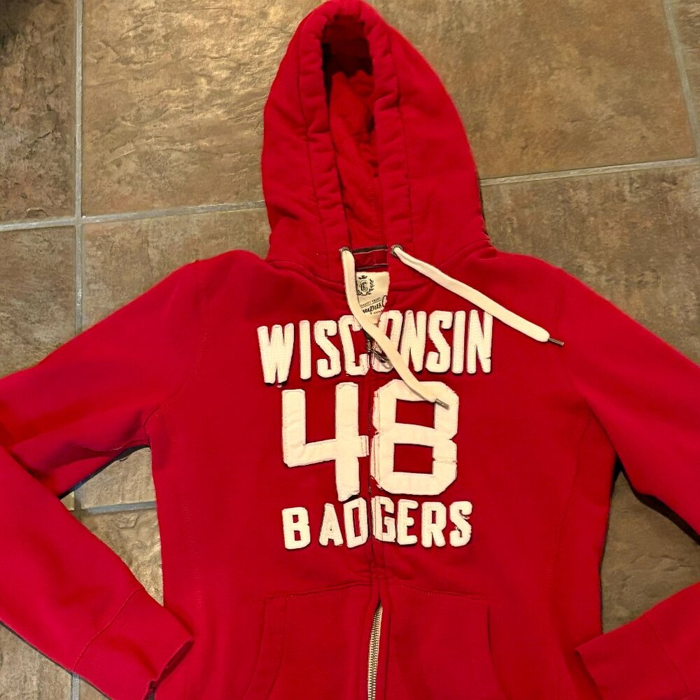 ~~WISCONSIN BADGERS BUCKY VINTAGE UNIQUE EMBROIDERED L HOODIE  BEST WISCONSIN BA